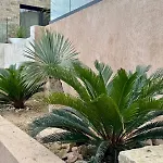 Perle De Giens Sur Presqu'ile De Giens 200 M De La Vue Exceptionnelle Βίλα *